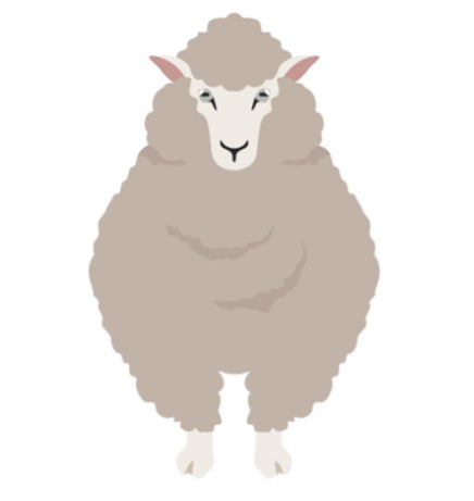 Breed Study: Polwarth
