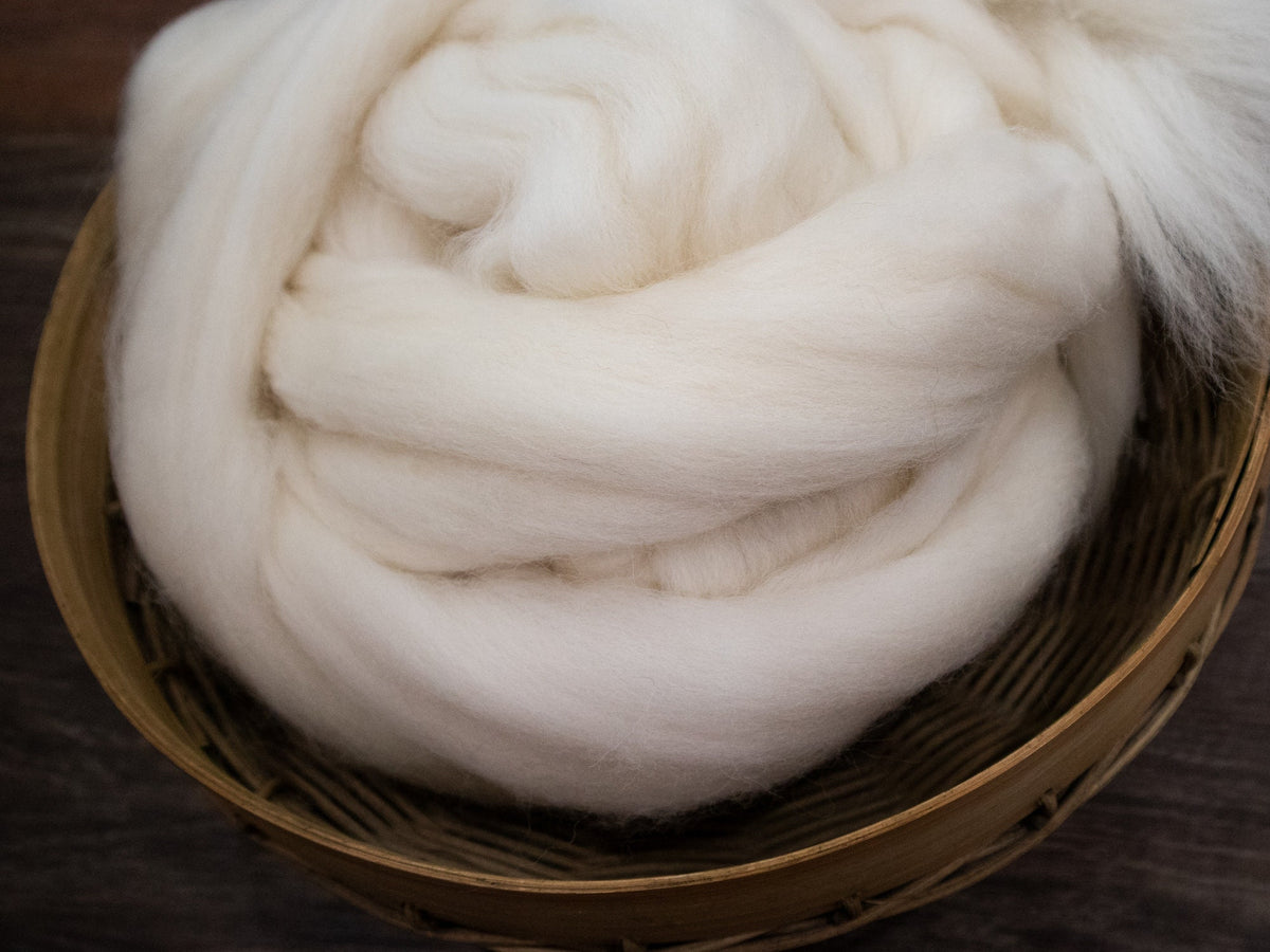 Shetland Wool - Natural White - (4oz) | Combed Top / Roving for Spinning and Felting