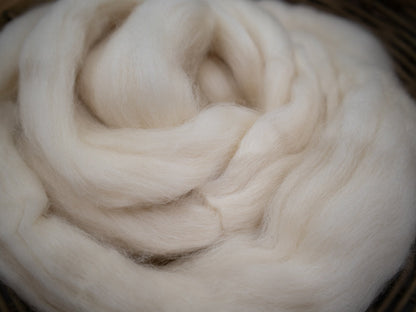 Falkland Wool (4oz) | Combed Top / Roving for Spinning and Felting