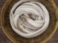 Load image into Gallery viewer, Undyed BFL Blueface Leicester Humbug (4oz) | Combed Top / Roving