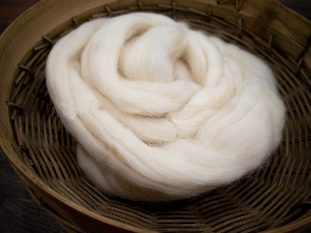 Falkland Wool (4oz) | Combed Top / Roving for Spinning and Felting