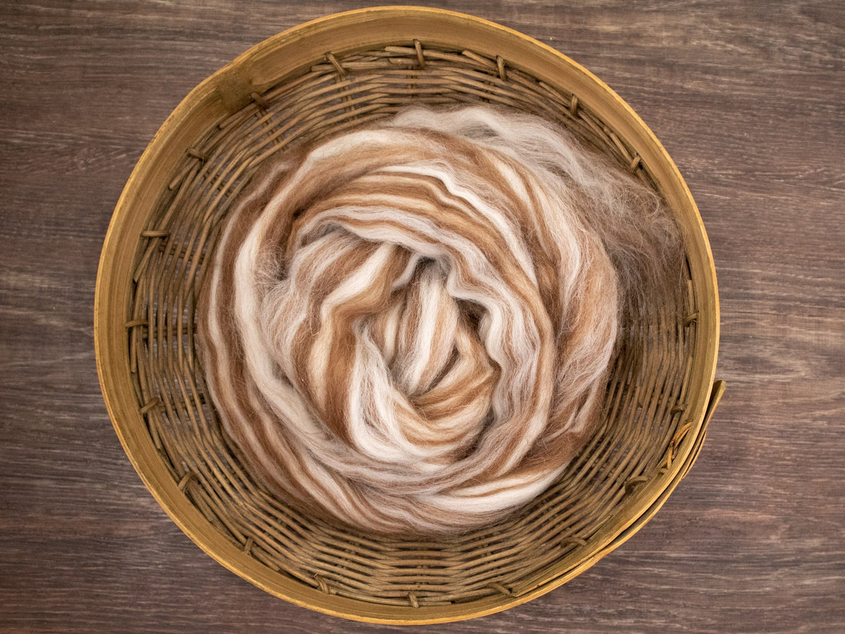 Shetland Wool Roving - Humbug (4oz) | Combed Top / Roving for Spinning and Felting