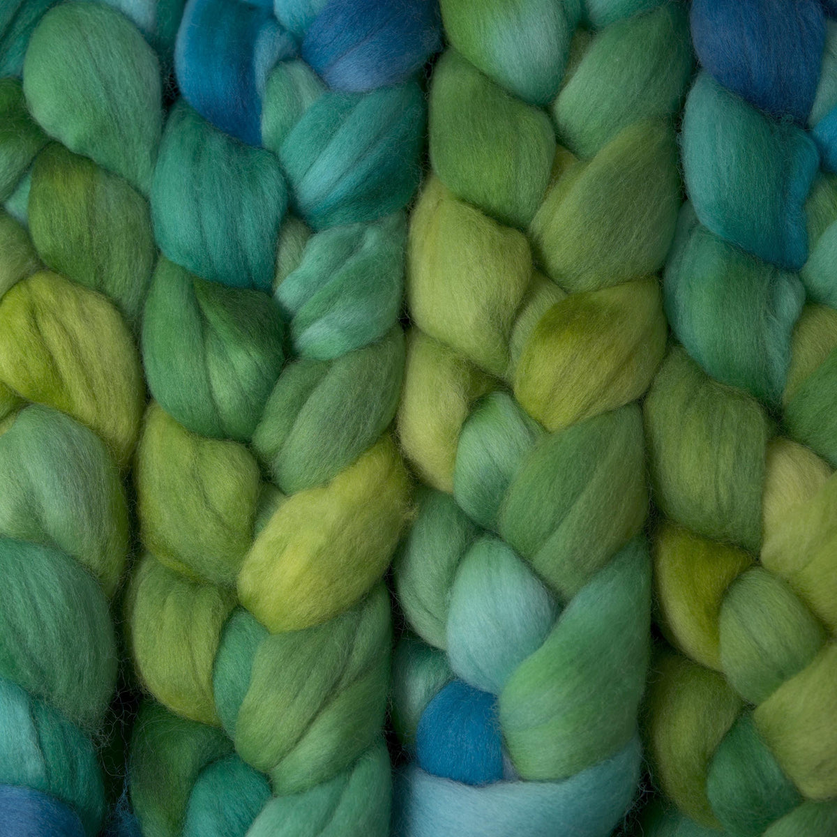 Hand Painted Polwarth Roving (4oz) | Combed Top for Spinning and Felting
