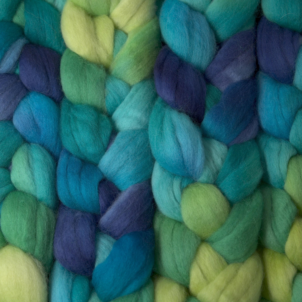 Hand Painted Polwarth Roving (4oz) | Combed Top for Spinning and Felting