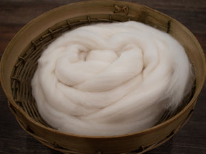Polwarth Wool Roving (4oz)
